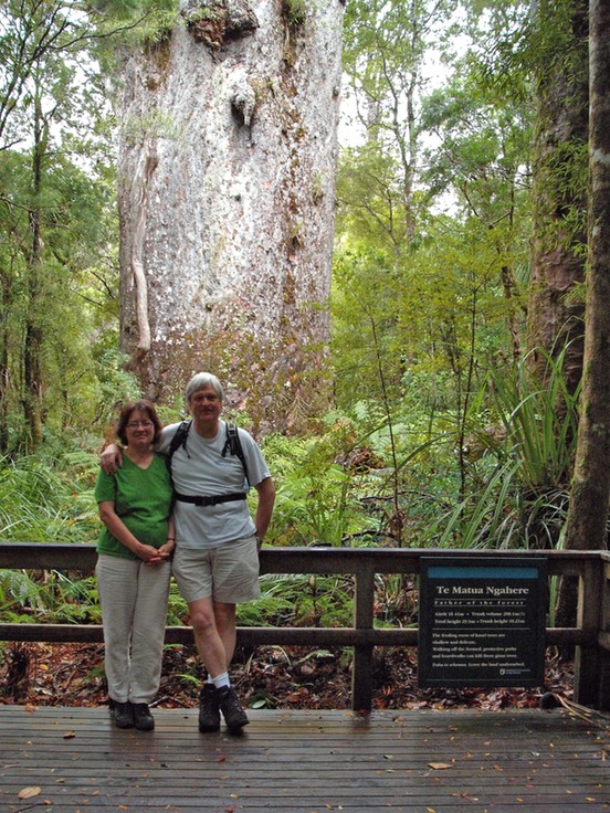 The Father of the Forest