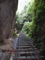 Scenic Railway