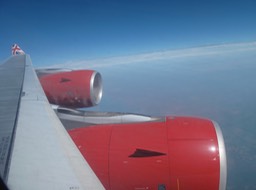On the Wing