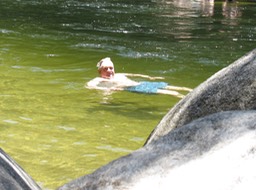 Mossman River, swimming hole