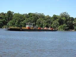 Daintree River Ferry