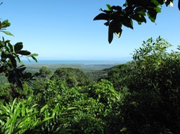 Alexandra Range Lookout