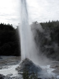 Lady Knox Geyser, Wai-o-Tapu