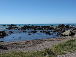 East Coast