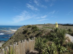 Kaikoura Peninsula