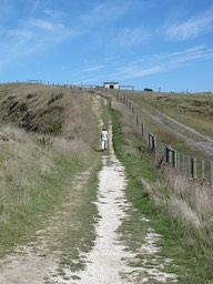 Kaikoura Peninsula