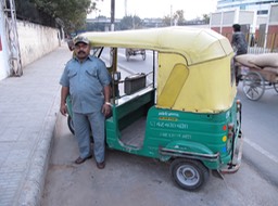 Tok-Tok Transport of Delight