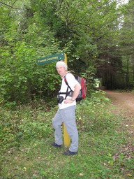 Hanmer Forest