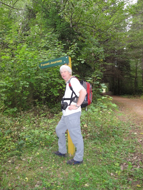 Hanmer Forest