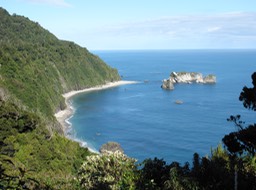 Knights Point, West Coast