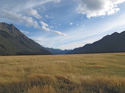 Road to Milford Sound