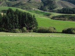 A green and pleasant land