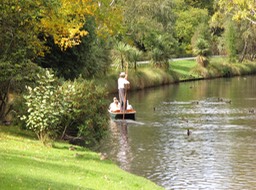 Punting on the Avon