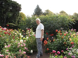 Une fleur parmi les fleurs.