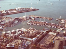View from Skycity Tower
