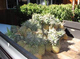 Cargaison d'ananas