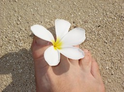 Le photographe prend son pied