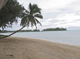 Our Beach, Rarotonga