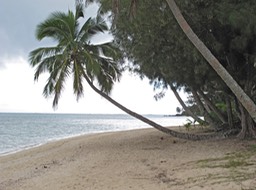 Our Beach, Rarotonga