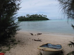 View from our verandah
