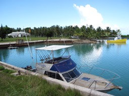 Bustling port waiting for the supply ship