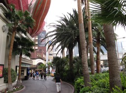 Walking the Strip