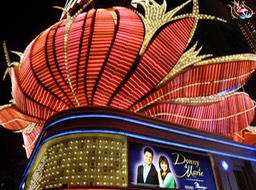 Flamingo by night