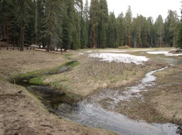 Round Meadow