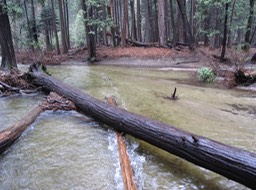 Merced River
