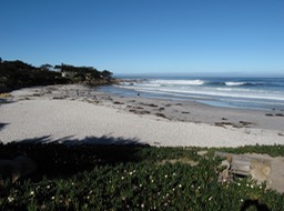 Carmel-by-the-Sea Beach