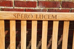 Teak Bench