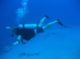 Underwater Bungee Jump