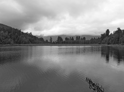 Lake Matheson, shades of grey