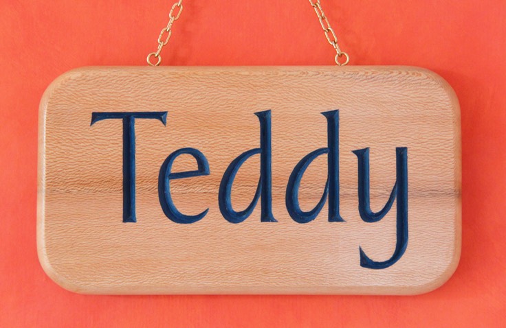 Teddy