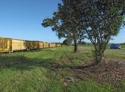 The Cane Railway